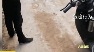 男子夜晚开车惊见巨蟒挡道,两男子路上遇到眼镜王蛇