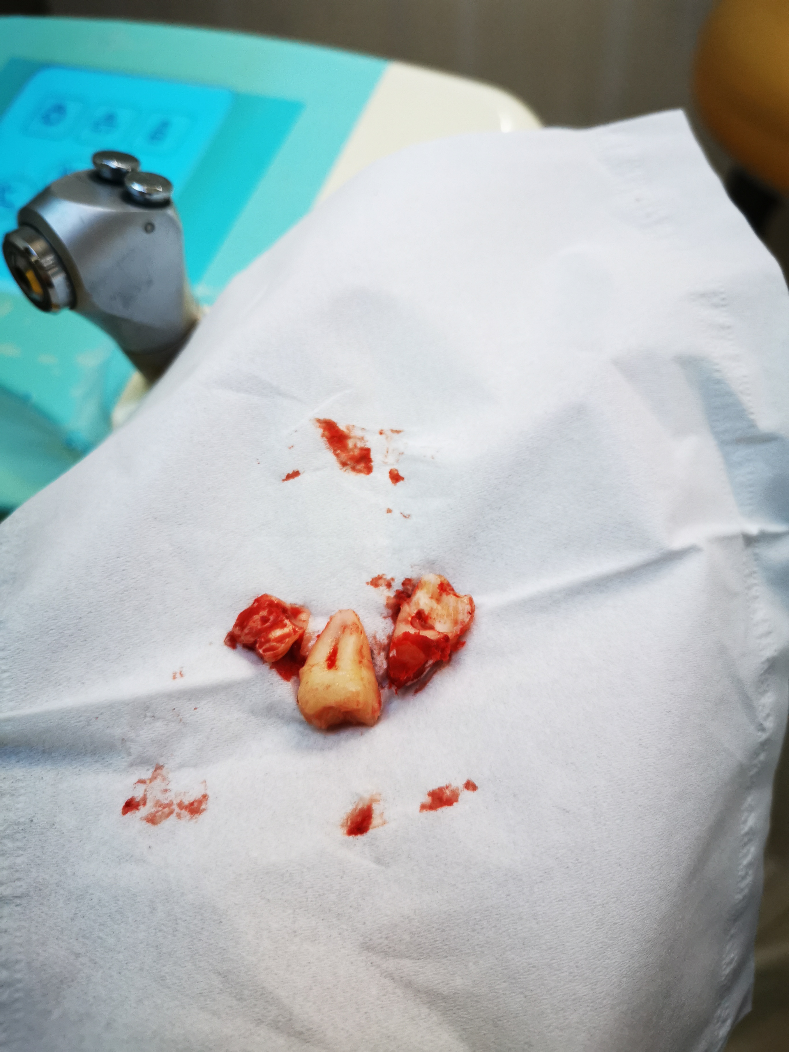 我喜欢你你知道么繁体,我喜欢你你知道吗结局小说