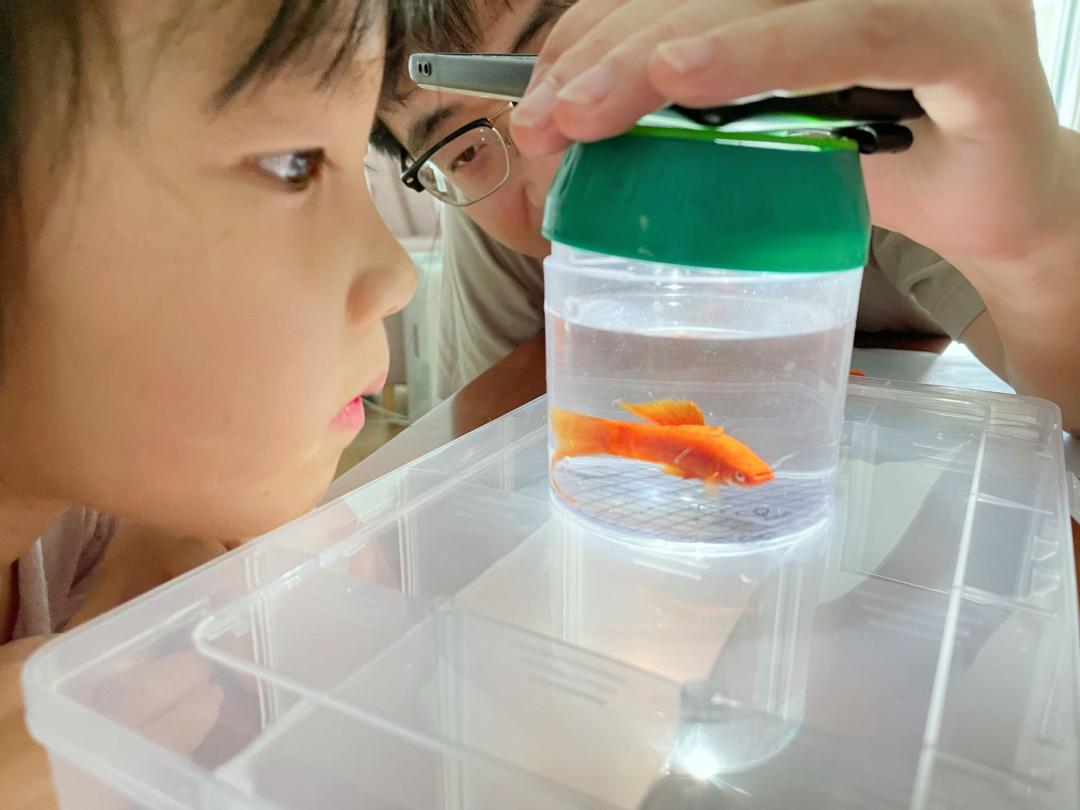 孩子经常提问我该怎么办,孩子问什么都不说怎么沟通