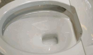 上厕所最难的动作,上厕所的几个动作