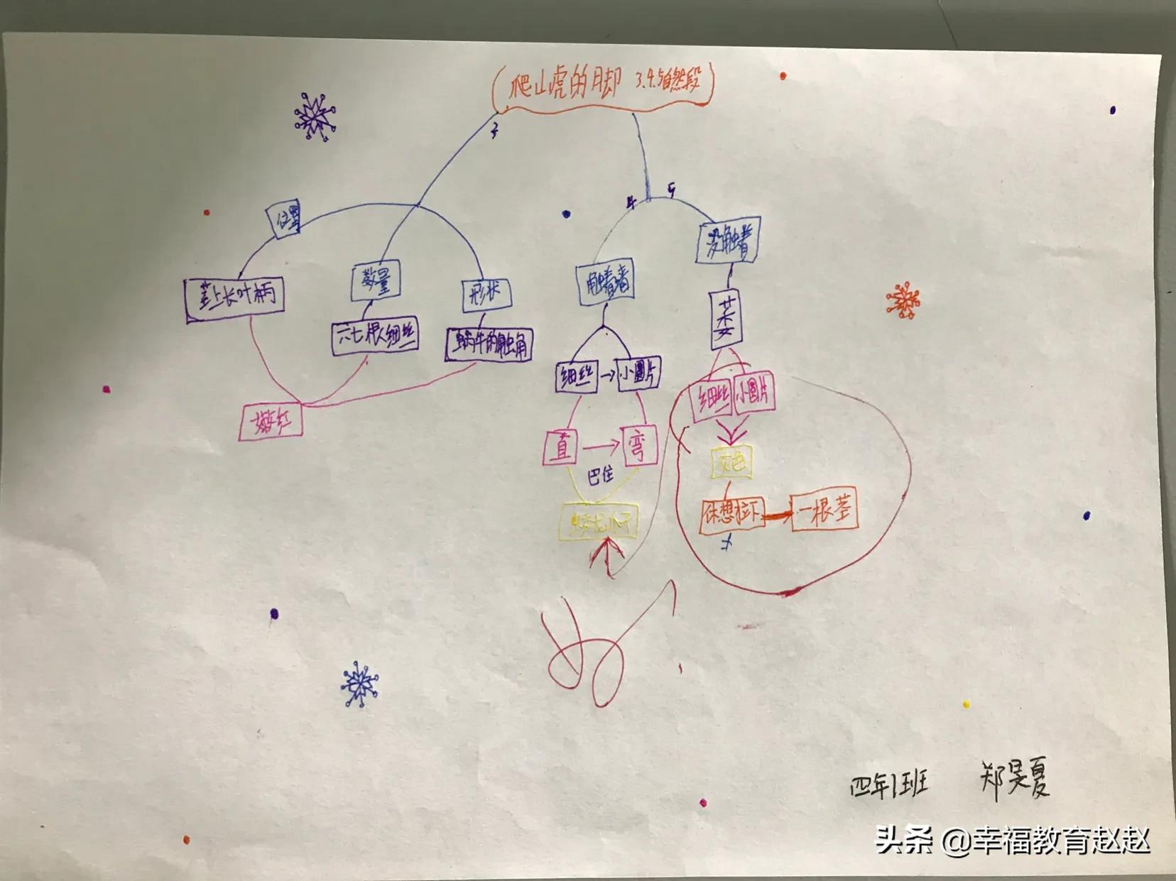 爬山虎的脚思维导图怎么画图片,爬山虎的脚思维导图绘画过程