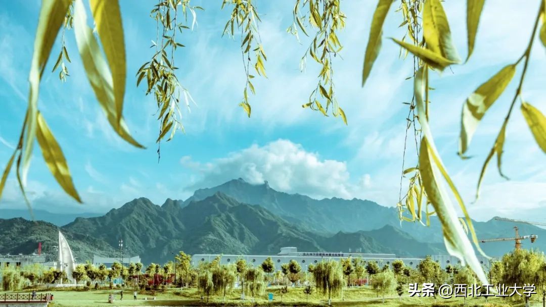 今日雨水!工大四季高清美图，欢迎欣赏使用~