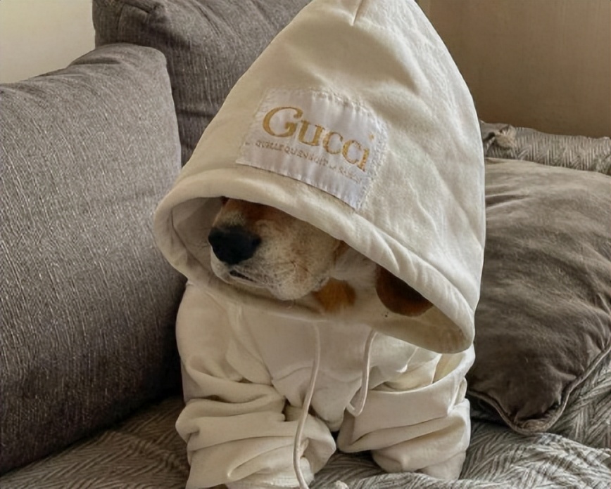 抖音最吸引人的经典说说幽默文案,评论搞笑文案抖音