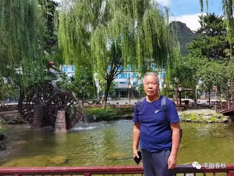 「散文」李芳｜鸽子——和平的象征