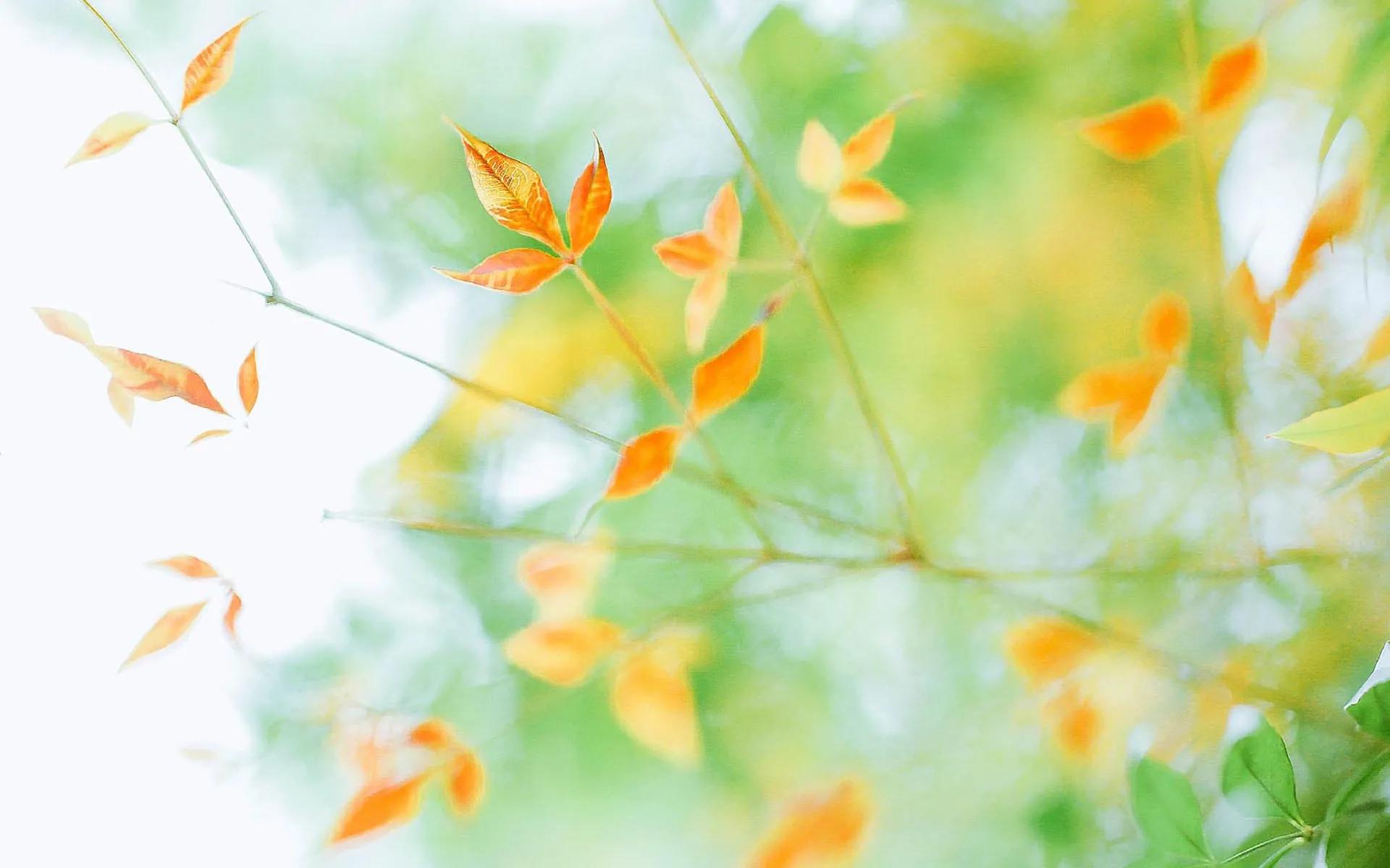 高考选择读定向医学（定向生）的那些人，现在过得怎么样了？