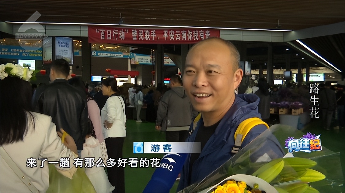 盘点人们都向往的工作,向往的工作和现实的工作