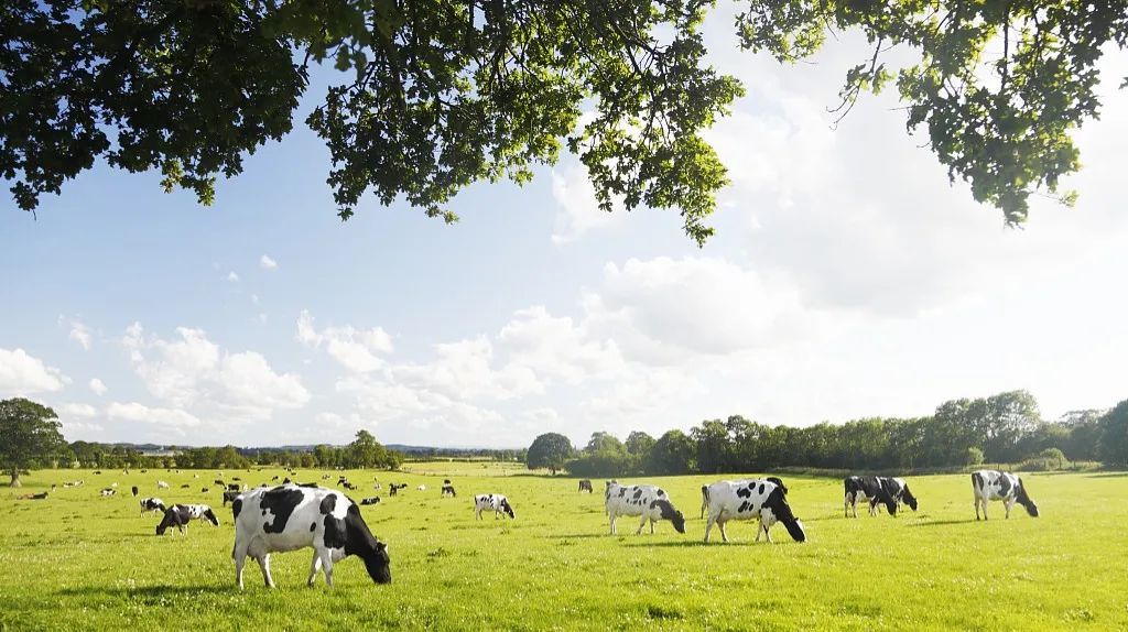 中国生产的宝宝奶粉,中国人在国外生产的奶粉