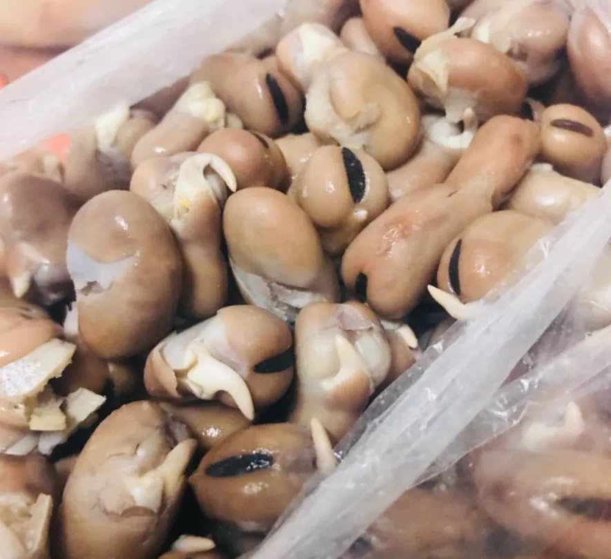 天津人爱吃的100种美食 (外地人不敢尝试的天津美食)