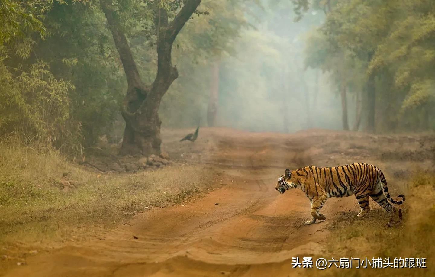 懂懂日记全集,懂懂日记和艾浪笔记