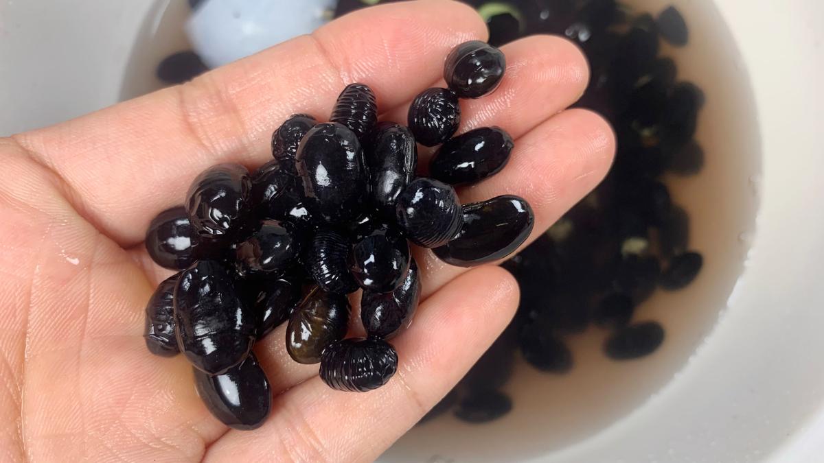 它才是真正的补肾之王,每天喝它补肾养颜白发变黑发