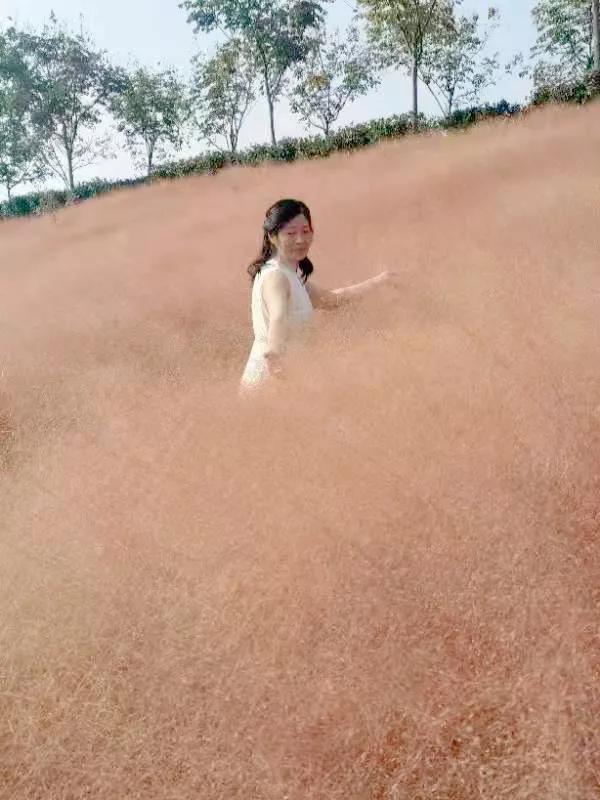 蚌埠禾泉山庄在哪里呀,蚌埠禾泉山庄爬涂山旅游攻略