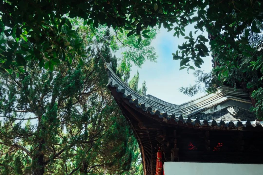 520年一遇，2022上海最浪漫打卡地出炉