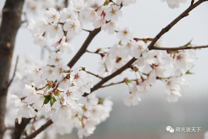 中日文化交流史导论,中日文化交流史视频