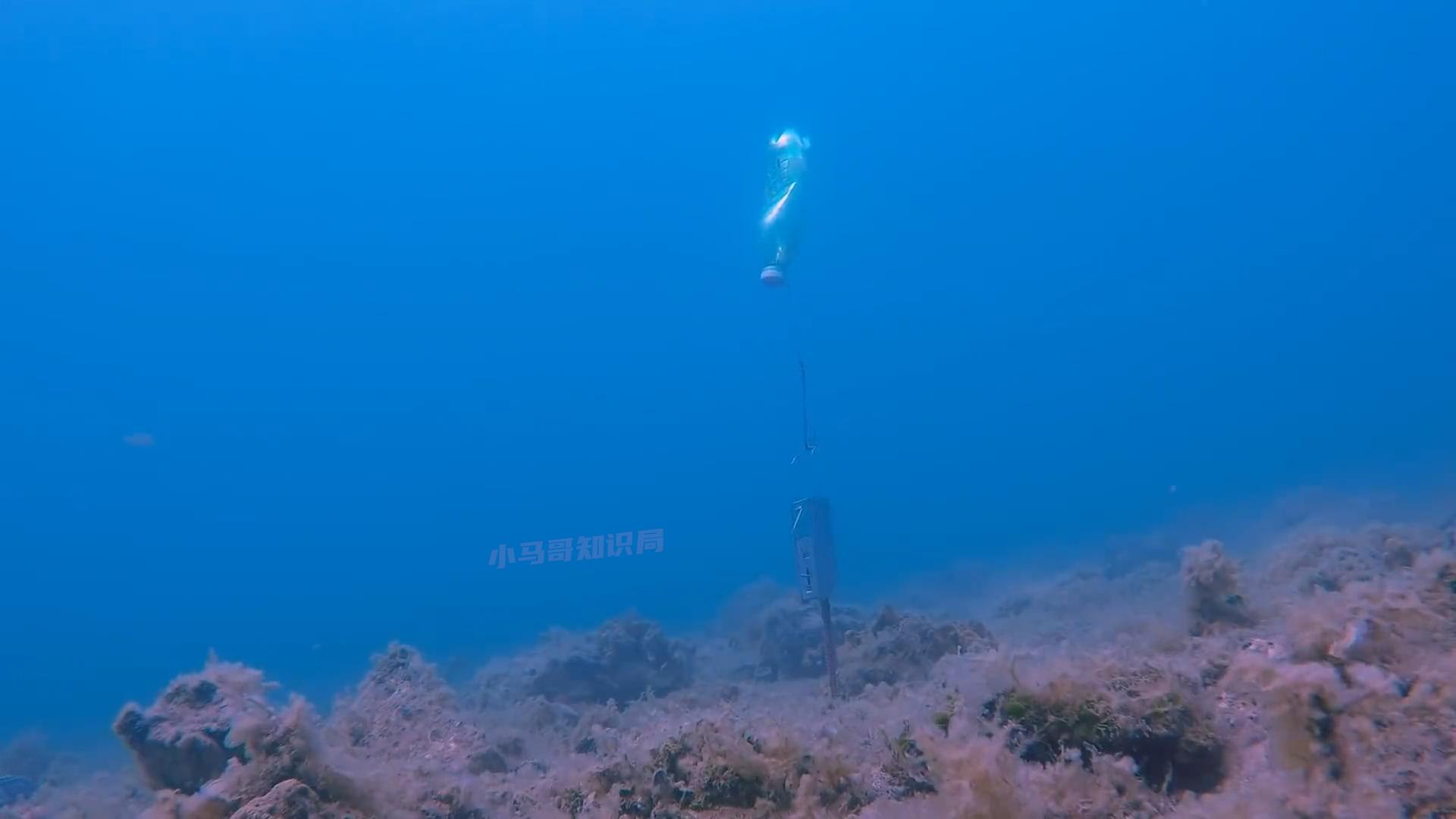 博比特虫遭遇人类袭击,巨型博比特虫
