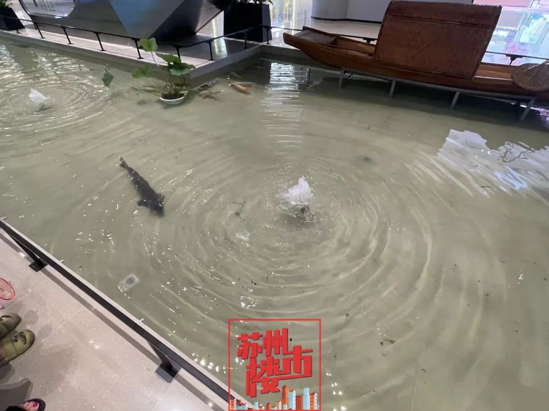 苏州必去购物中心,苏州适合小学生打卡的地方