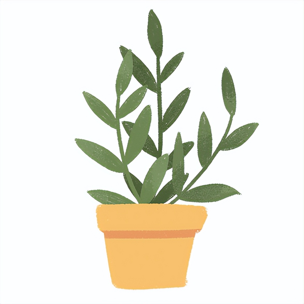 “我希望她死，可又舍不得她死”