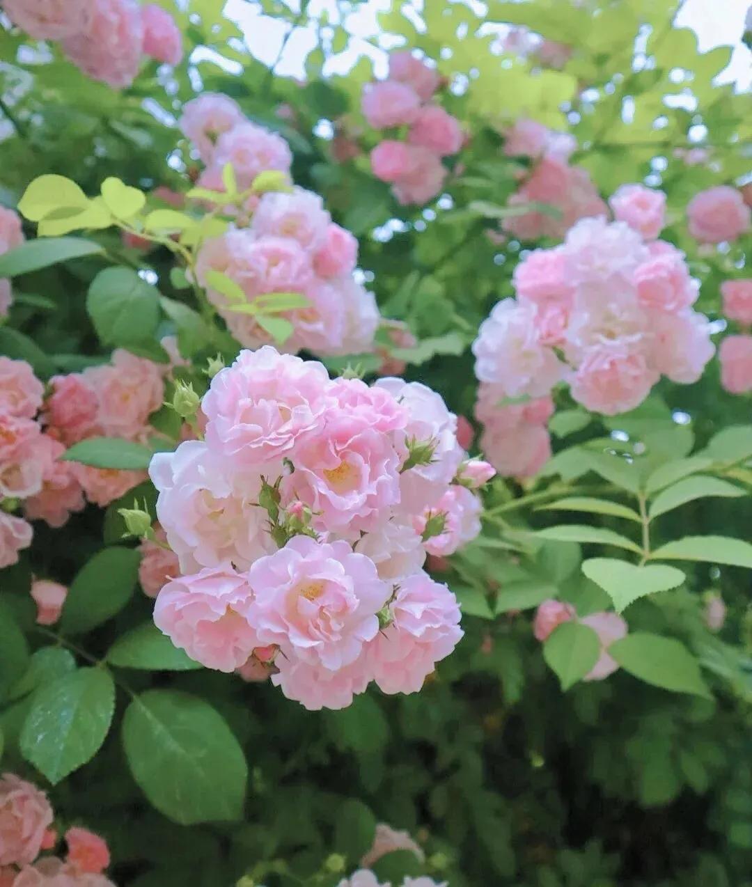 结婚前一晚，未婚夫为了别的女人截肢又毁容，现在我该何去何从