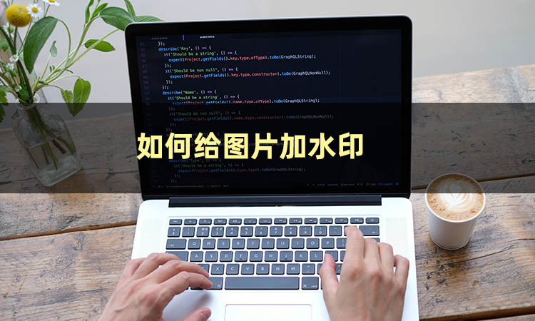 如何给图片加水印教程,如何给图片加水印的方法