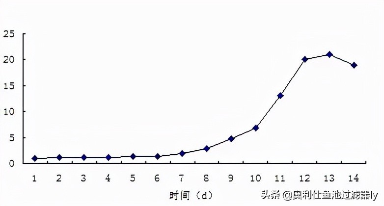 锦鲤鱼池多久换一次水,锦鲤水浑浊绿