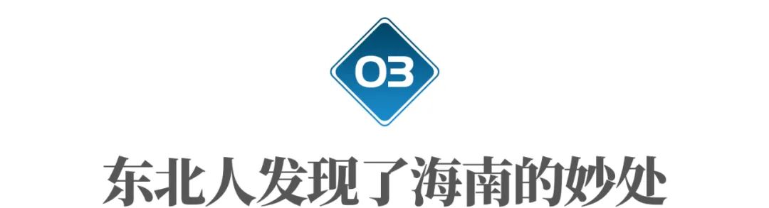 海南三亚附近的城市,为什么说三亚是东北省会