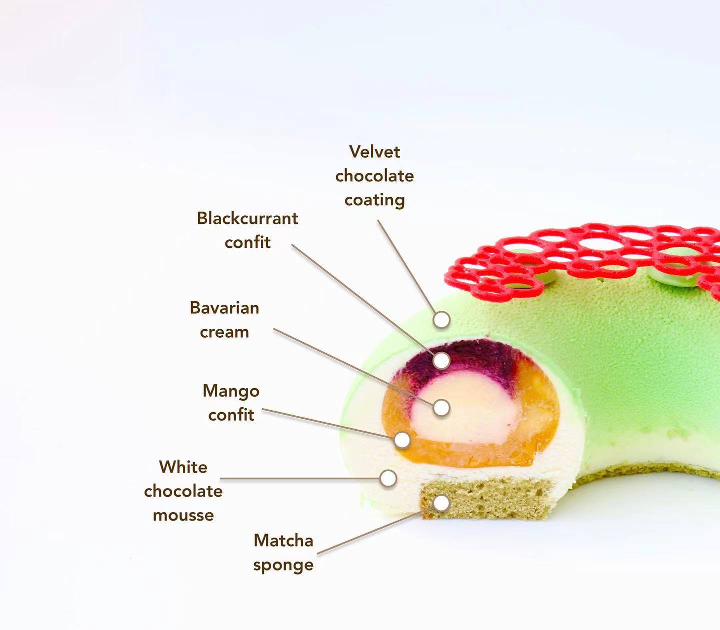 蛋糕切面,蛋糕两层夹心切面图片