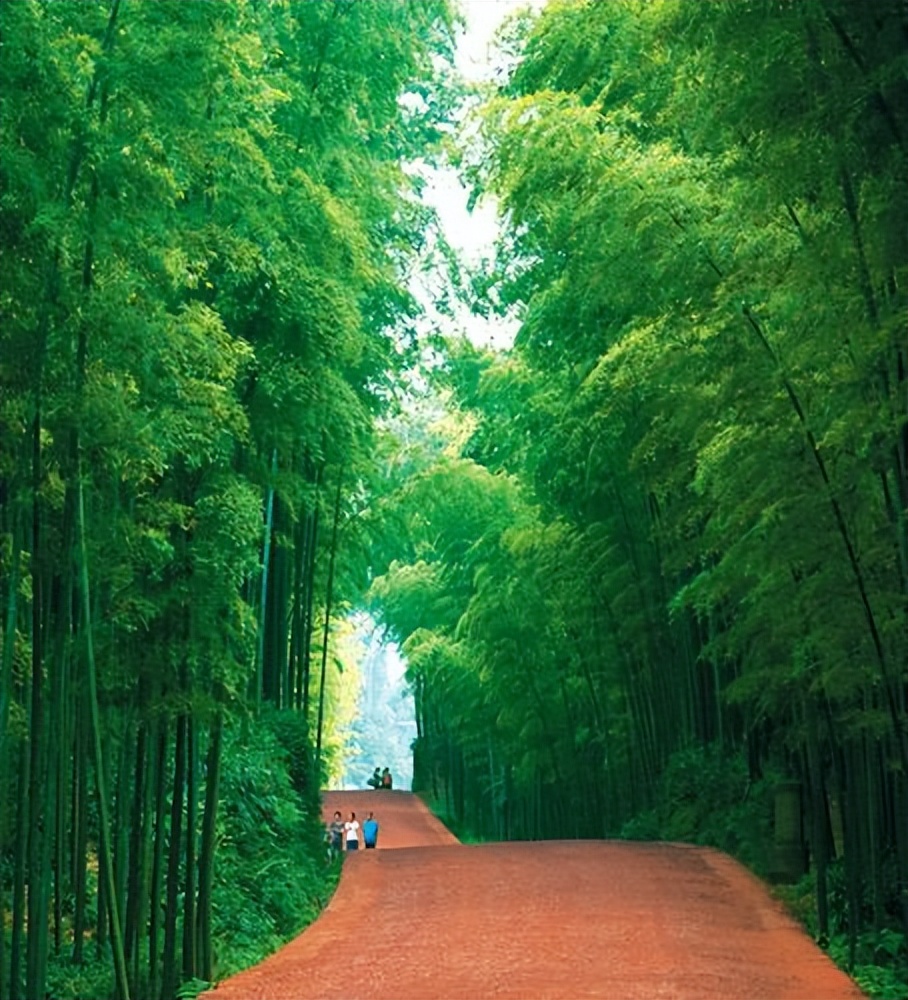 卧虎藏龙蜀南竹海取景地片段,蜀南竹海卧虎藏龙拍摄地放的音乐