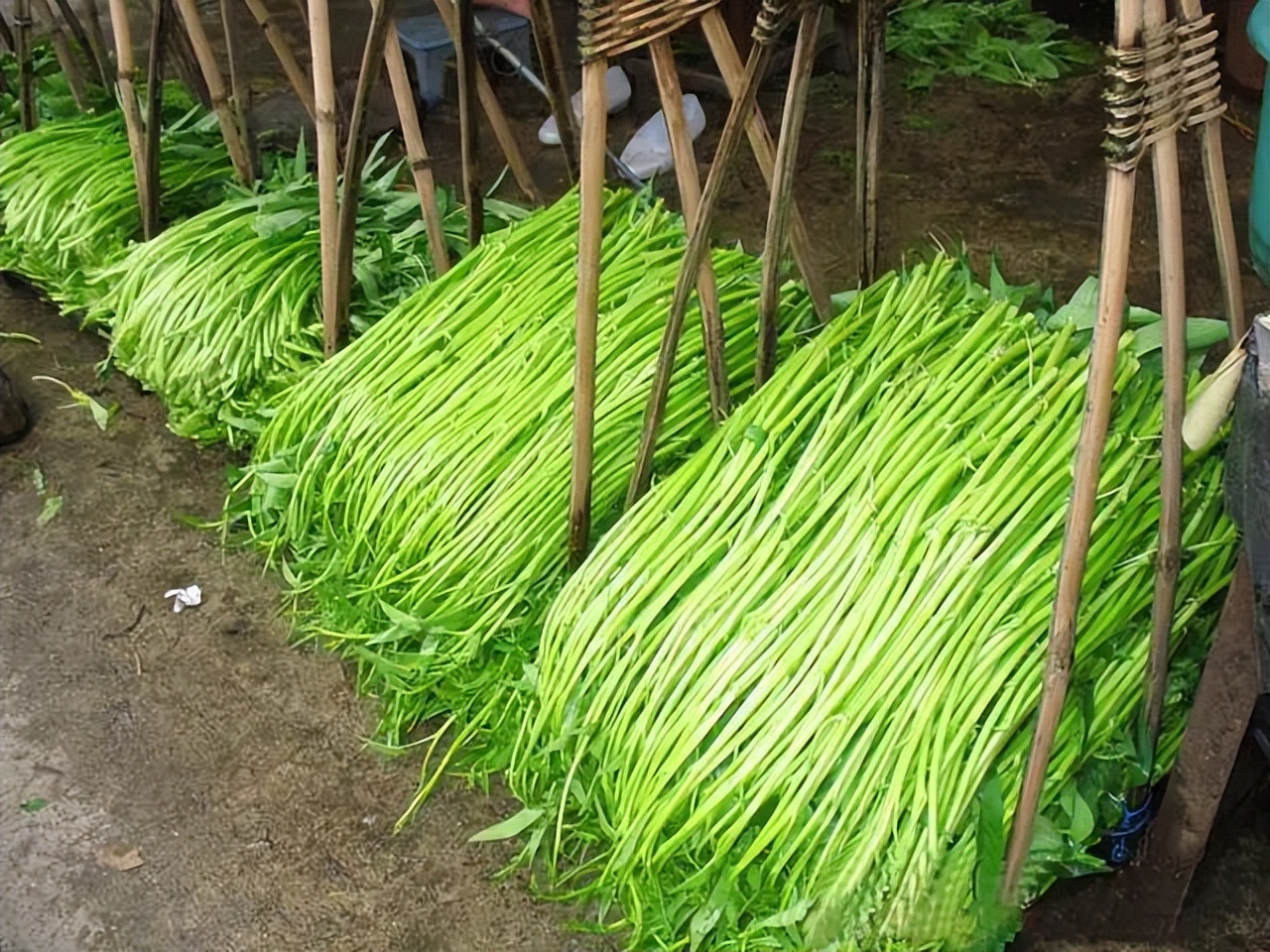 广西博白客家特产小吃图片高清,广西博白小吃都有什么