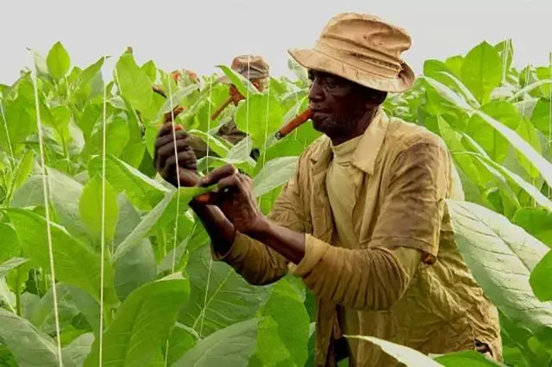 中国六大绝版老香烟 (绝版老香烟见过一种就说明你老了)