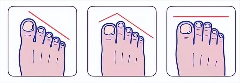 脚型对应相应的鞋型,脚型鞋子参考