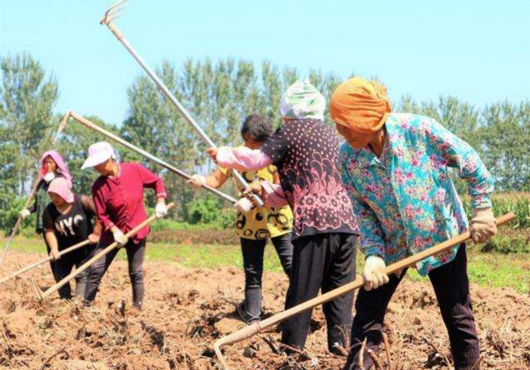 2000年女孩相亲注重外表,2000年的女孩相亲