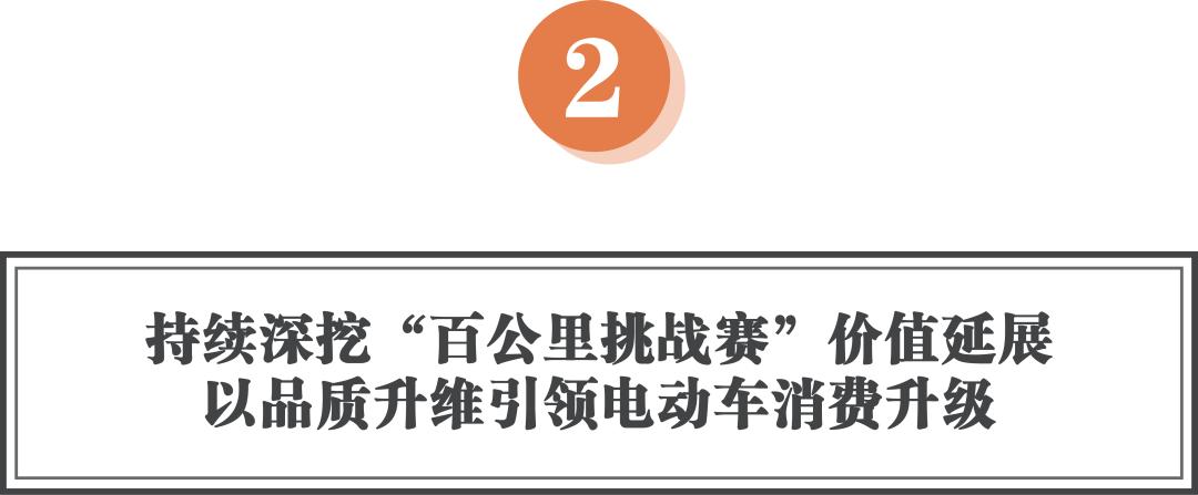 新国标爱玛改款,爱玛高端新国标