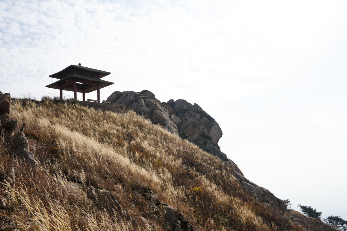 小学语文三年级下册必背古诗,小学语文考编必背古诗汇集朗读