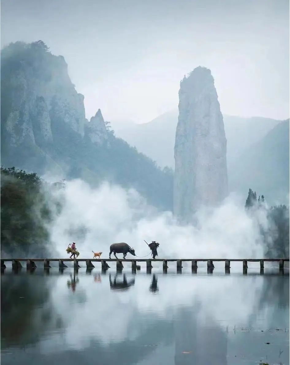 清明不用爬山游玩的地方,清明不踩坑的游玩推荐