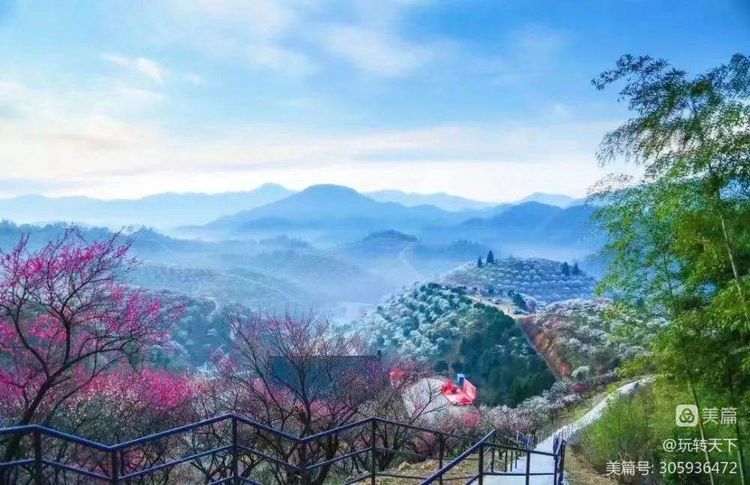 安吉竹海自驾游攻略一日游,安吉竹海旅游攻略二日游