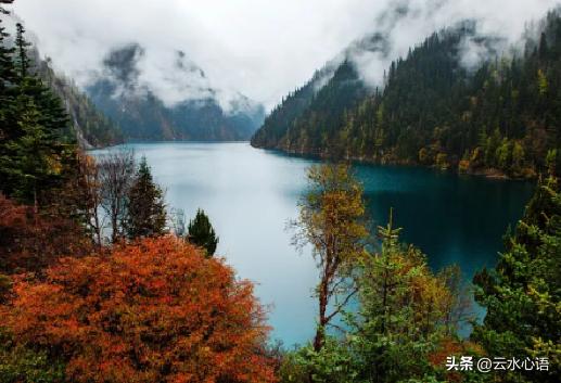 名家讲解杜甫七律,严武七律书法作品