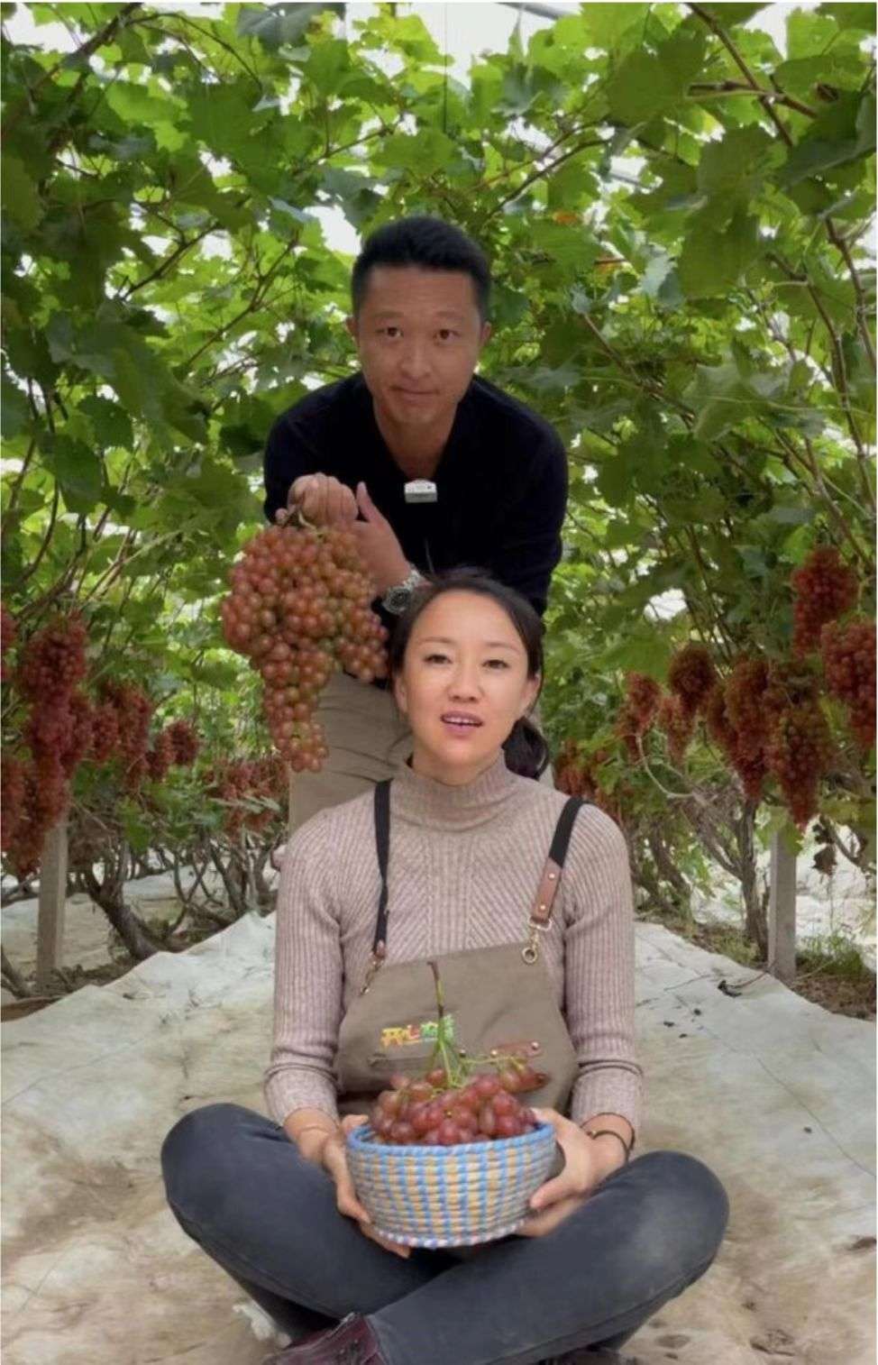 90后辞掉月薪5000的工资回家种地,90后返乡种地年入百万