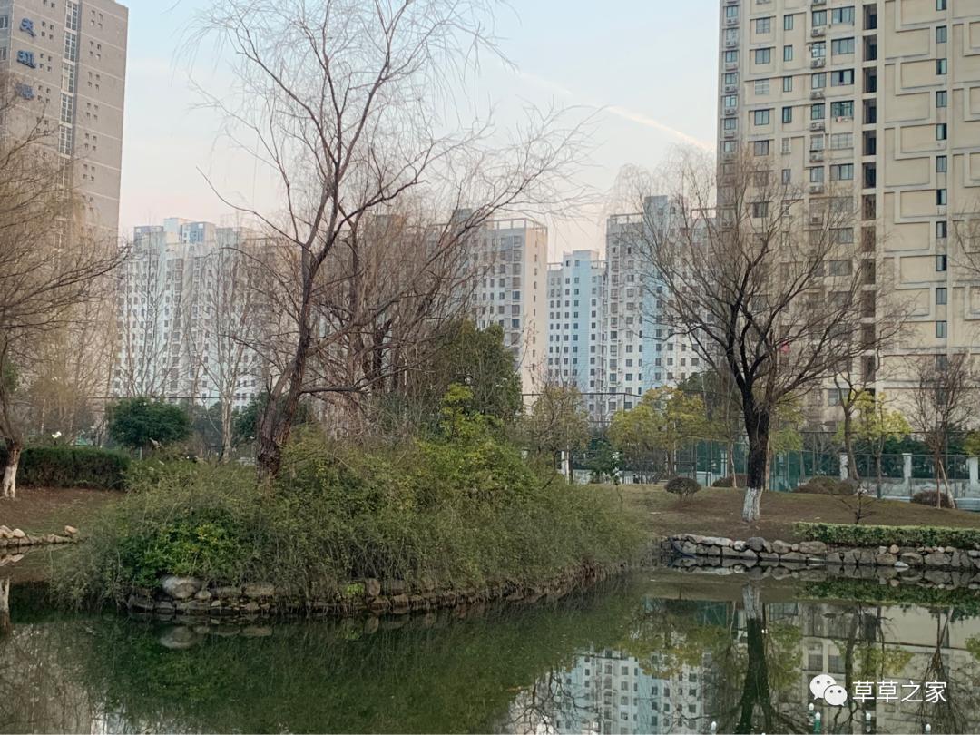 合肥一中有一个后花园，你进去玩过吗？早春里的一中后花园