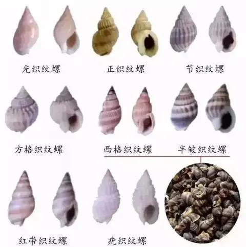 吃海鲜后心脏跳得快,吃完海鲜心脏跳得很快