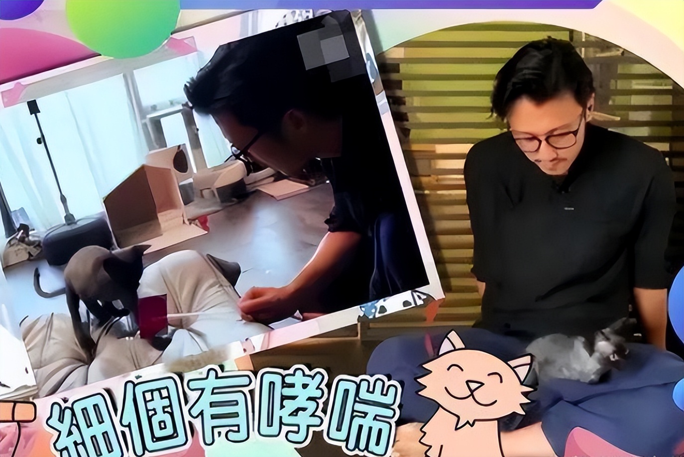 曝谢霆锋与王菲照片,谢霆锋与王菲最新消息关系