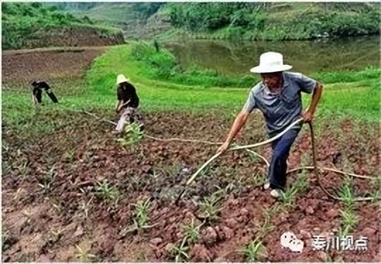 如何看待农民工资,农民工对薪资的需求