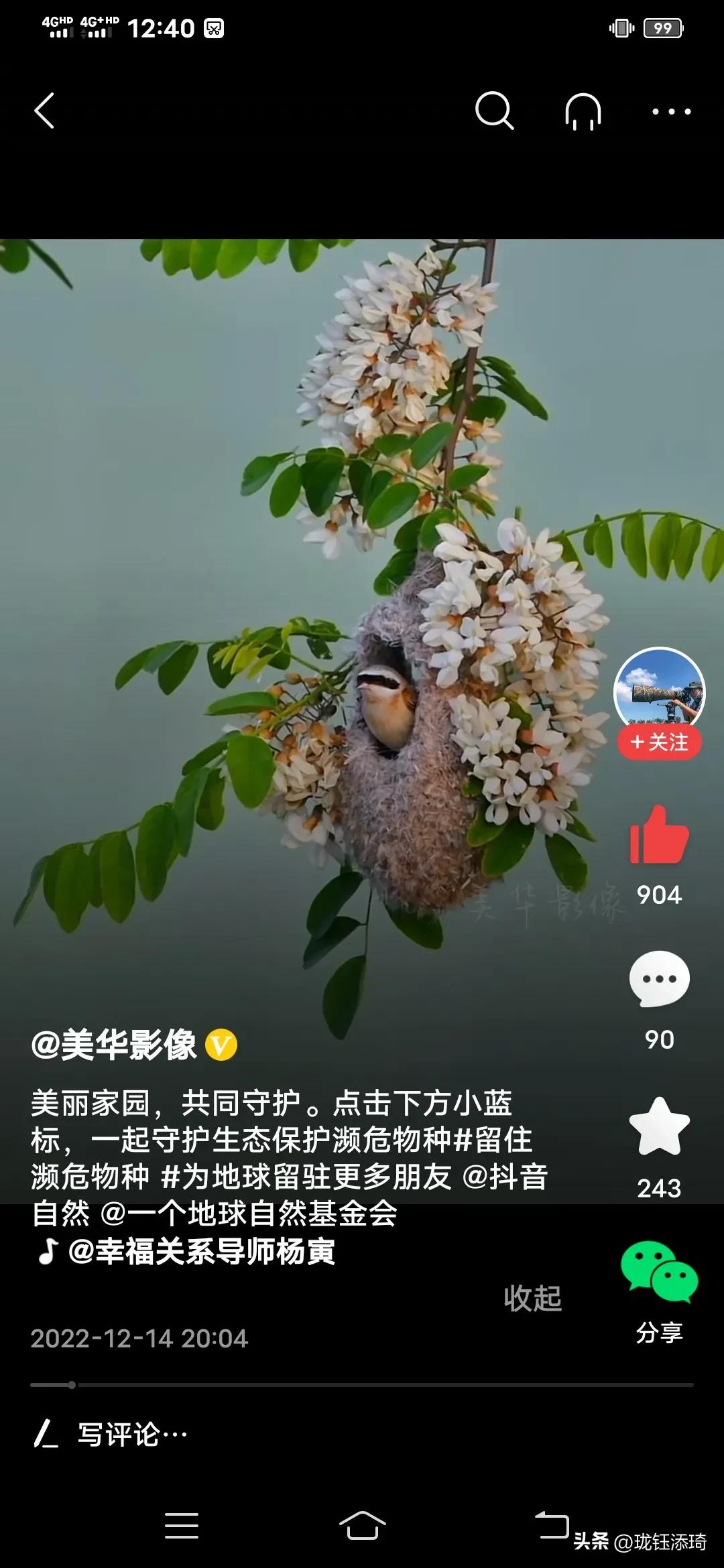 这是我见过的鸟儿最美的房子没有之一