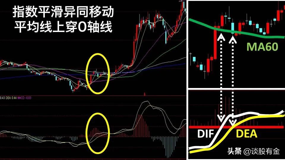 macd指标实战用法精讲图文版,半吨老师精讲macd指标