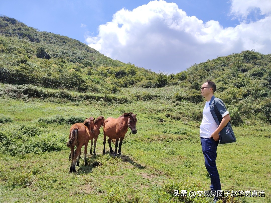 赵华岗交易战法,赵华岗黄金战法