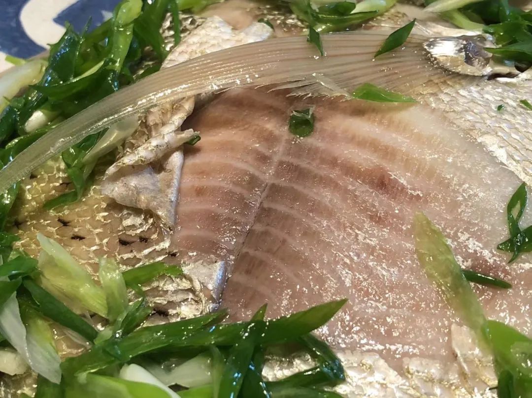 潮爸家4月3日午餐记录，品尝湛江美味海鱼，清蒸鸡笼鲳