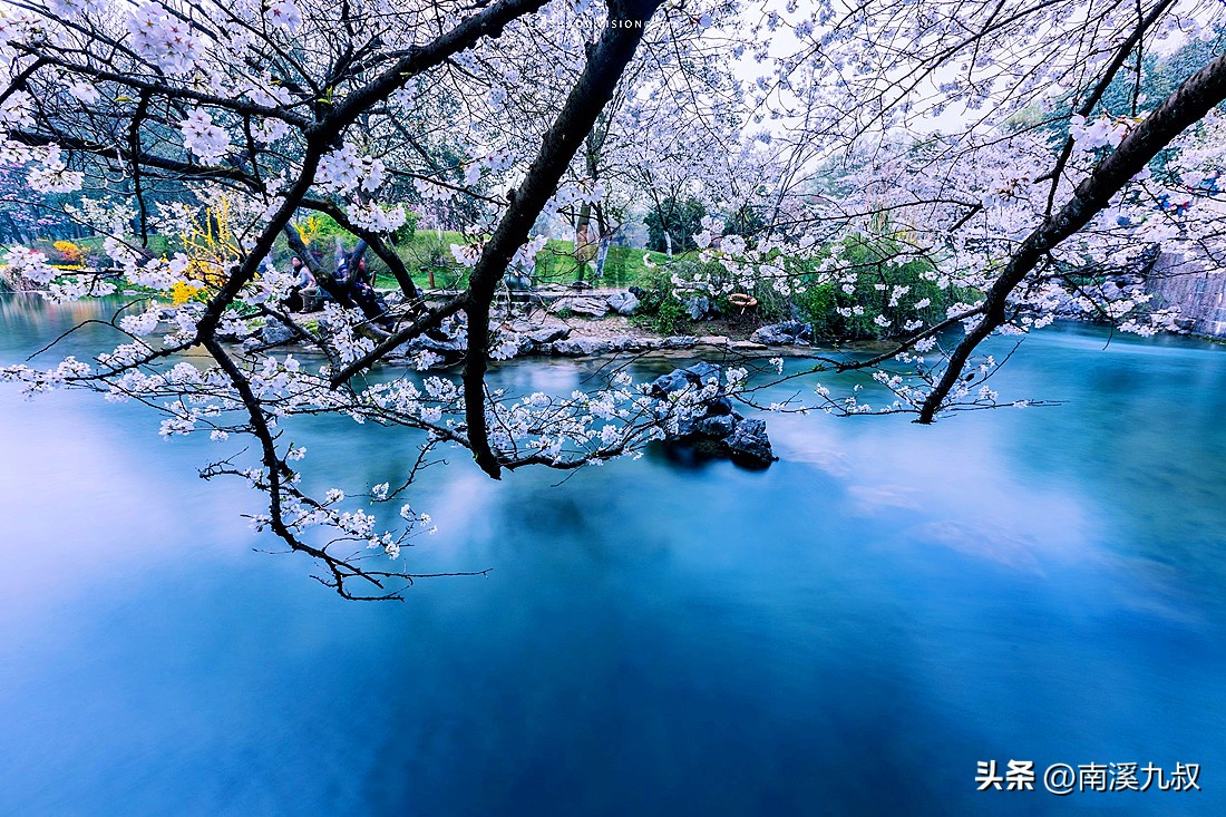 李清照致敬赵明诚,李清照写给赵明诚挽联