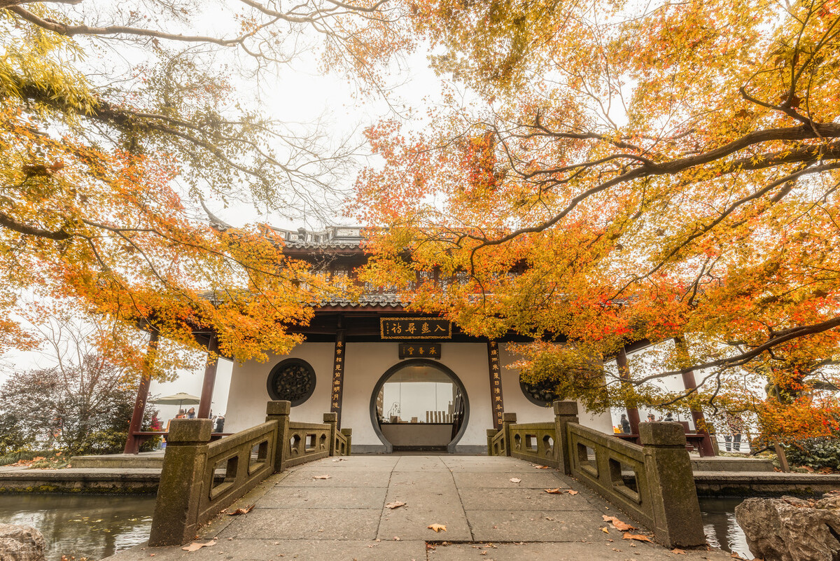 西湖断桥风景美图,西湖三月天美图