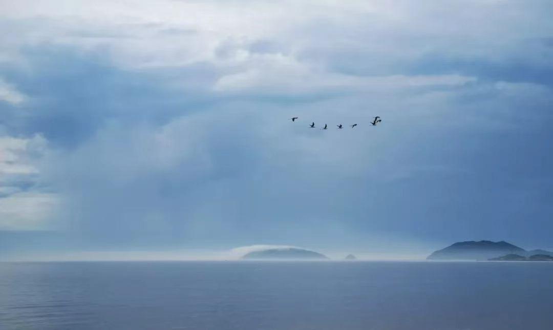 <html>
<head><title>502BadGateway</title></head>
<body>
<center><h1>502BadGateway</h1></center>
<hr><center>nginx</center>
</body>
</html>
<!--apaddingtodisableMSIEandChromefriendlyerrorpage-->
<!--apaddingtodisableMSIEandChromefriendlyerrorpage-->
<!--apaddingtodisableMSIEandChromefriendlyerrorpage-->
<!--apaddingtodisableMSIEandChromefriendlyerrorpage-->
<!--apaddingtodisableMSIEandChromefriendlyerrorpage-->
<!--apaddingtodisableMSIEandChromefriendlyerrorpage-->
