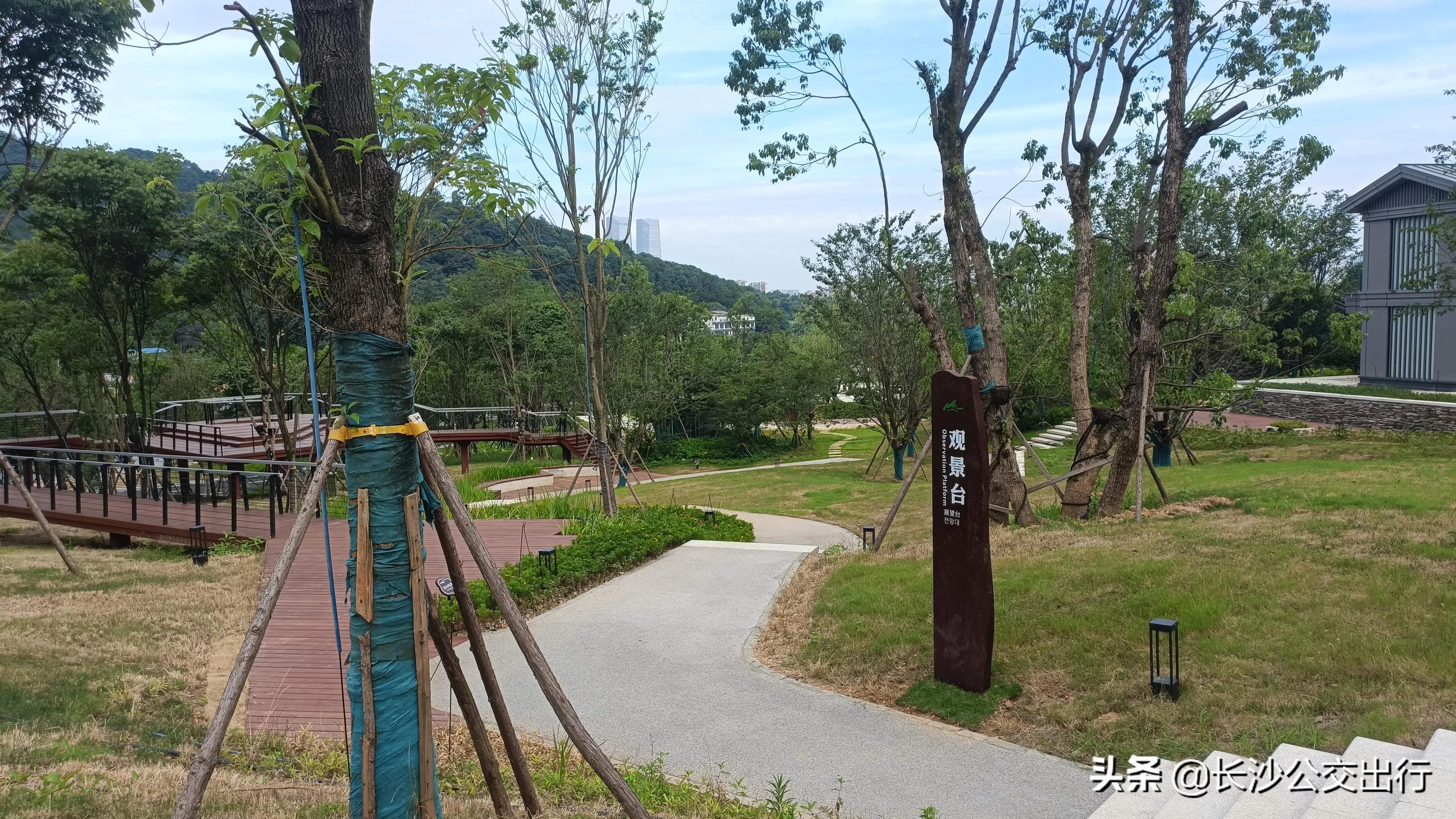 岳麓山从南门爬的攻略,岳麓山东门进南门出旅游攻略