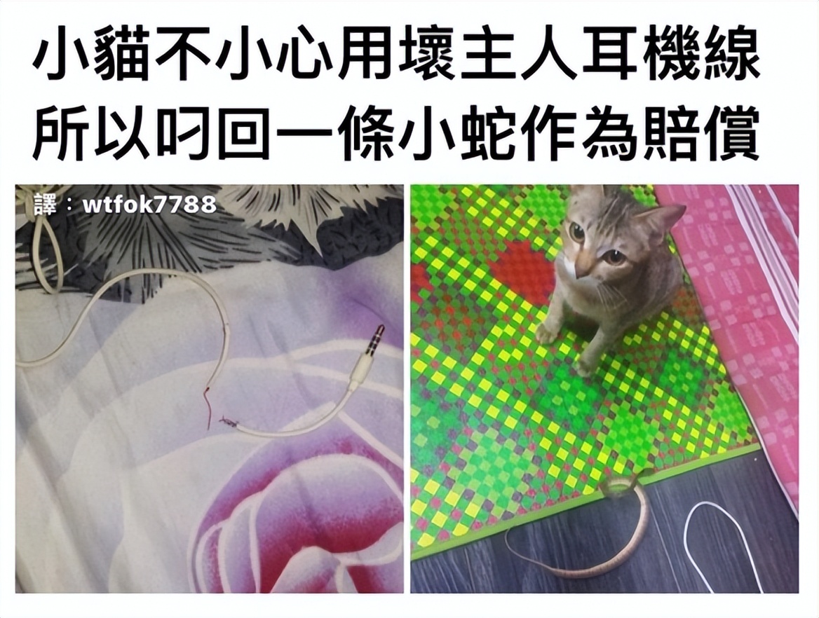 搞笑囧图：质数在生活中有什么作用？没有美女的行业是没有前途的