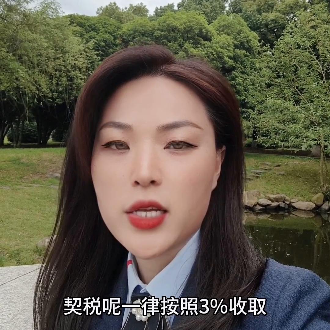 在安庆买房该缴哪些税费#大数据推给有需要的人@抖音短视频